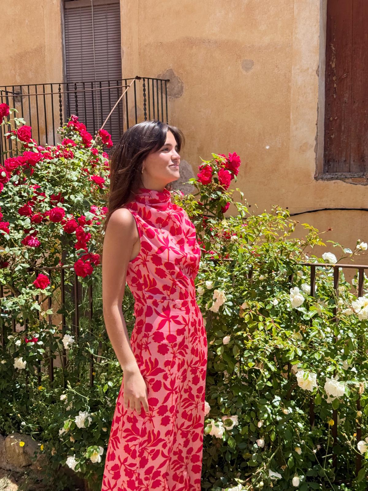 Ali Rosa Dress