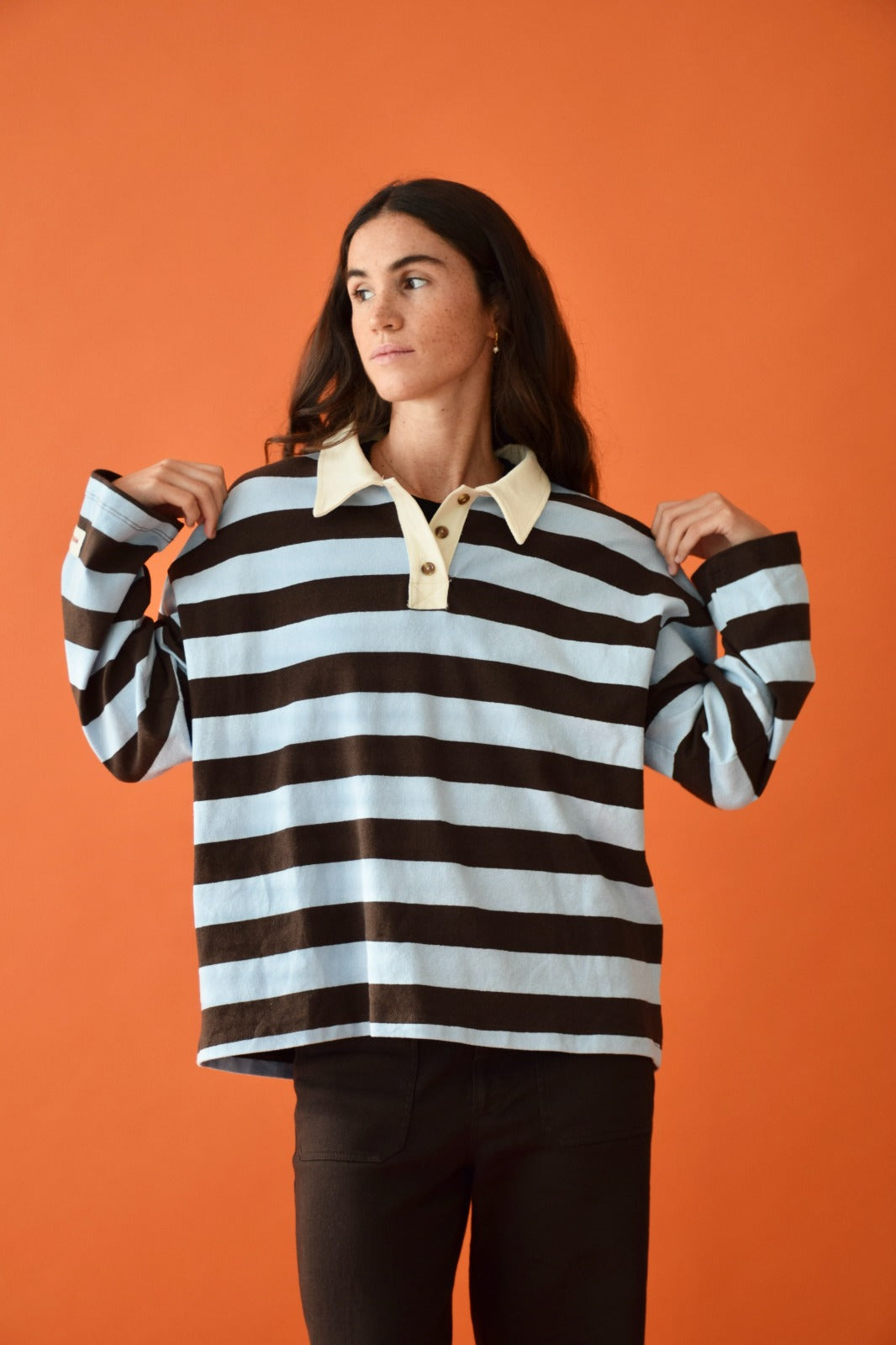 Polera Filipa Marrón y Celeste