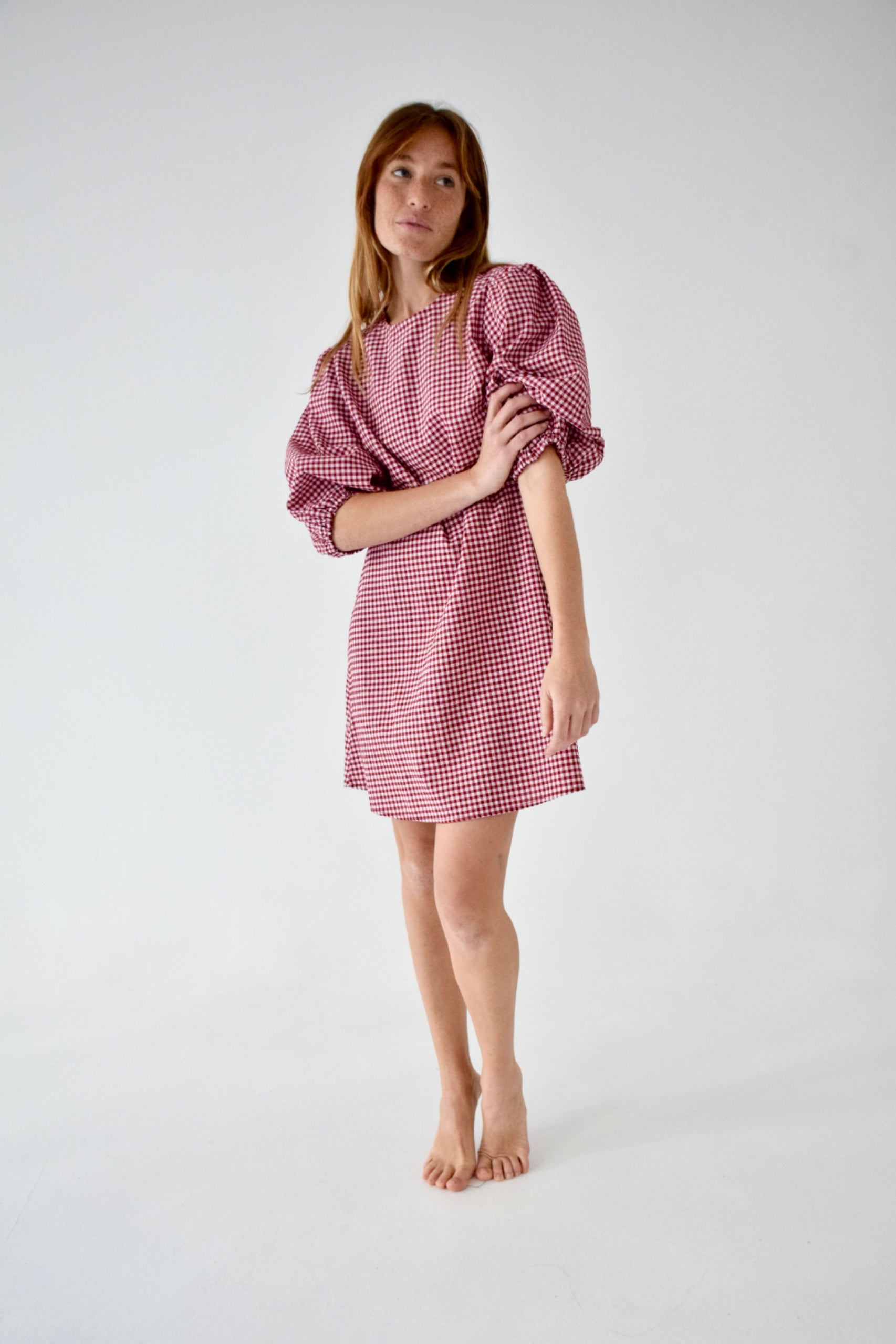 Mirela Burgundy Dress