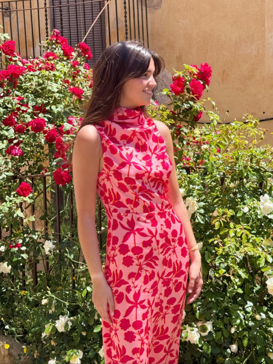 Ali Rosa Dress